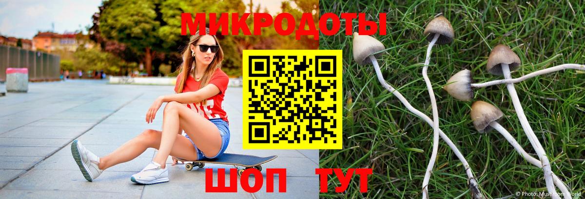 Псилоцибиновые грибы Cubensis  закладки  Вход с VPN  Зерноград  Псилоцибиновые грибы Psilocybe 