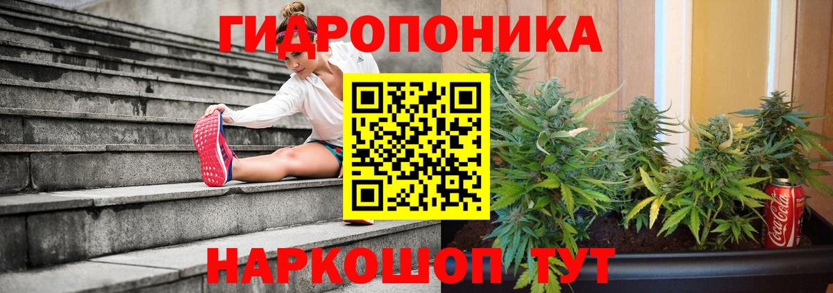 Зерноград  МАРИХУАНА план  Бошки марихуана индика  Вход с VPN  Конопля THC 21% 